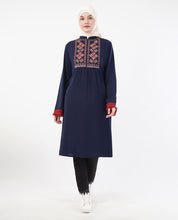 Fringes & Flare Embroidered Blue Top
